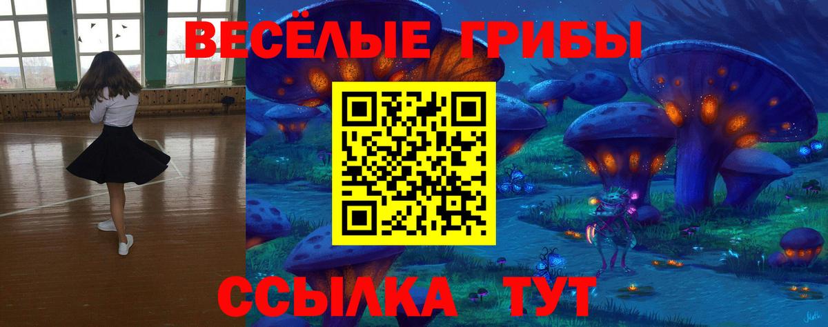 Псилоцибиновые грибы GOLDEN TEACHER  Вход с VPN  Псилоцибиновые грибы GOLDEN TEACHER  Железноводск 